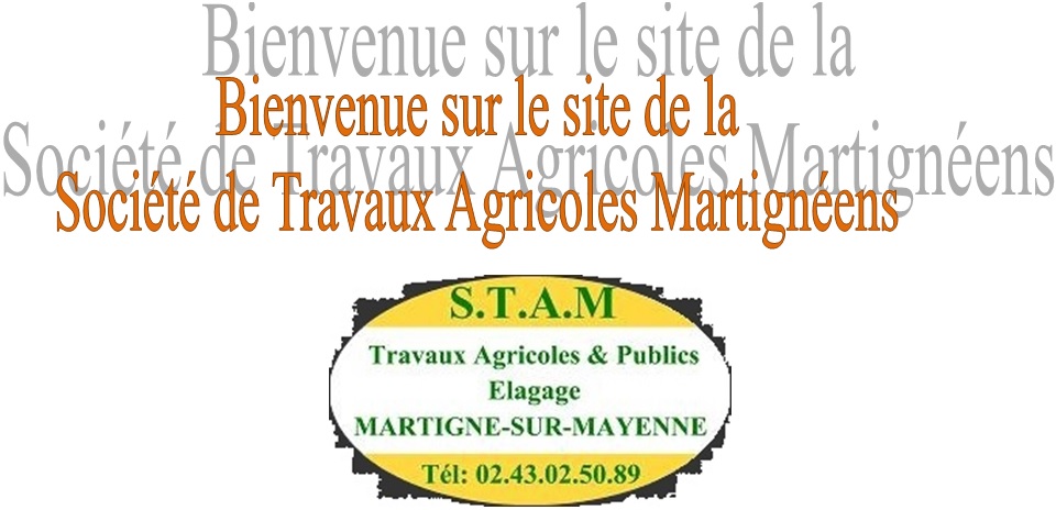 Bienvenue sue le site stam4