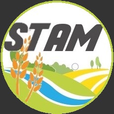 Logo stam v3 4 pour site